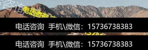 专业团队